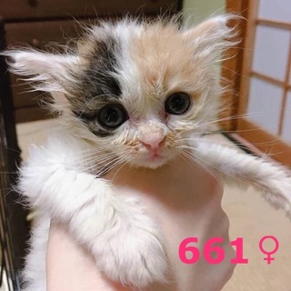 管理番号：OS−661