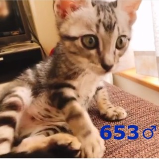 管理番号：OS−653