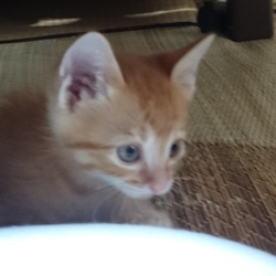 里親さん決定♥その2