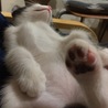 の写真