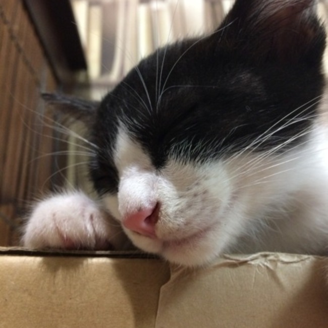 hazeyu558のカバー写真