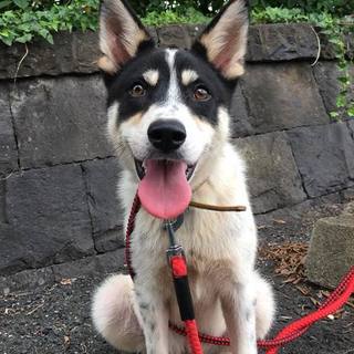 新しい家族に迎えられました！！