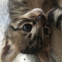 6月1日生まれです