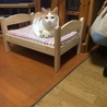 の写真