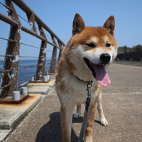 小鉄
