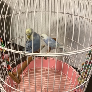 素敵な里親様に会えました