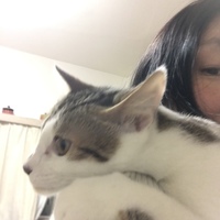 中島るん