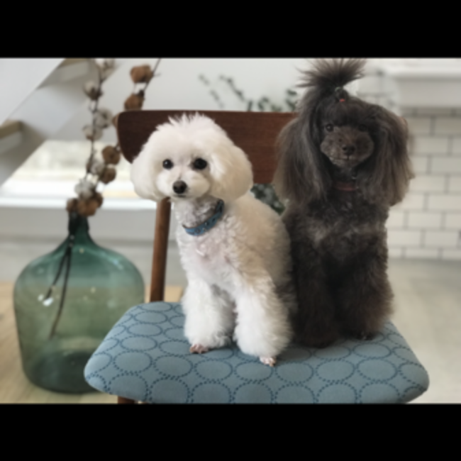 ayano127のカバー写真