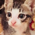 家で産まれた1ヶ月の男の子