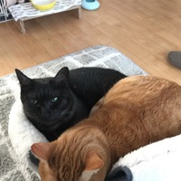 みかげ