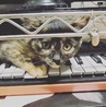 おてんば☆