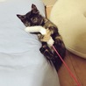 の写真