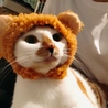 みおちゃんマン