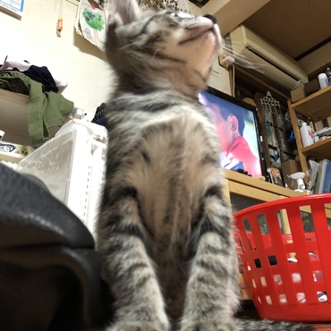の写真