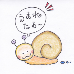 「カンちゃん２世」誕生‼