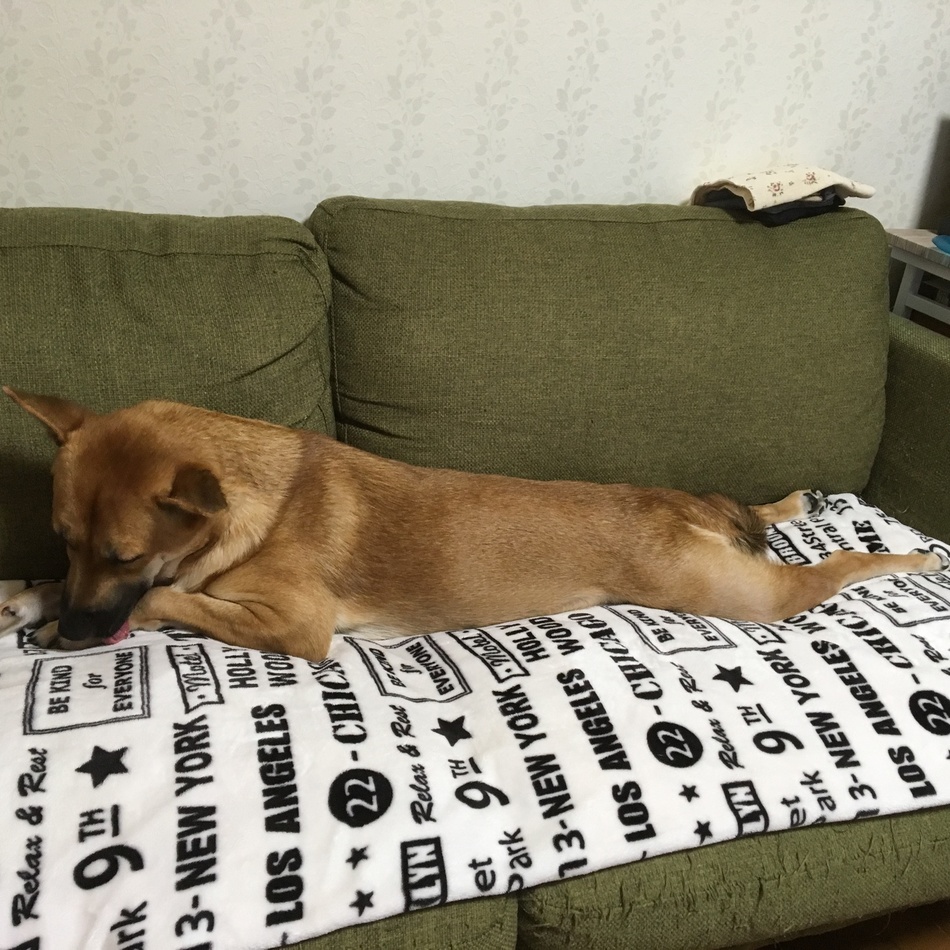 Otoのカバー写真