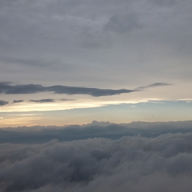 nocoのカバー写真