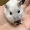 プロフィールの写真♪とっても可愛く撮れたお気に入り！