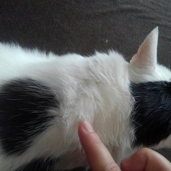 そろそろ1か月です