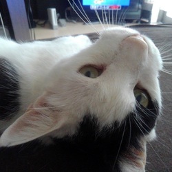 「そろそろ1か月です」サムネイル3