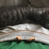の写真