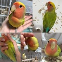 素敵なご家族様に恵まれました。