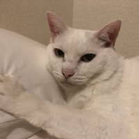 みい