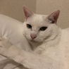 みい