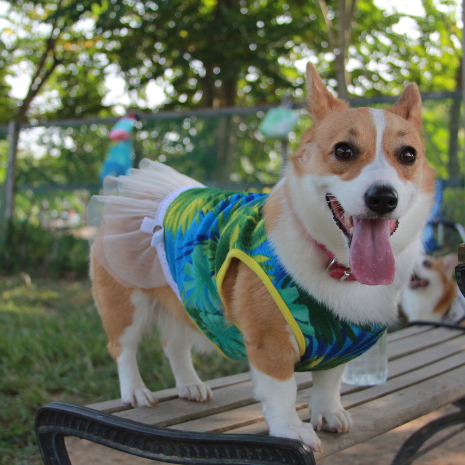 ガブリエルのカバー写真