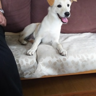 超スマイリーな私！！