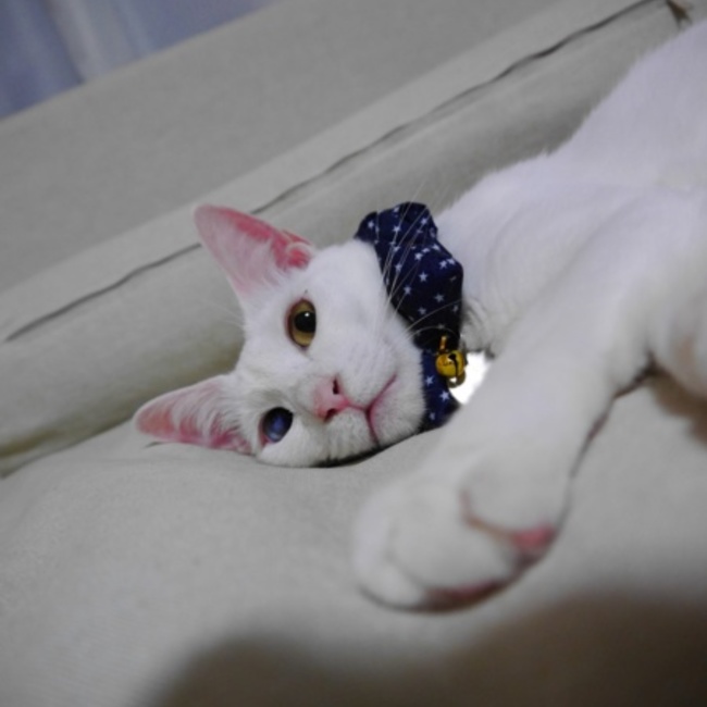 nana_76のカバー写真