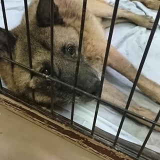 【感謝】繋がります！人が大好きなおじじです。