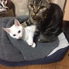 の写真