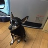 の写真