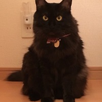ナルガ