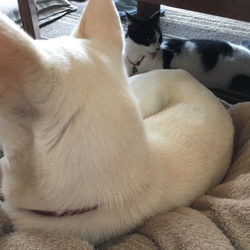 「初めての恐怖」サムネイル2