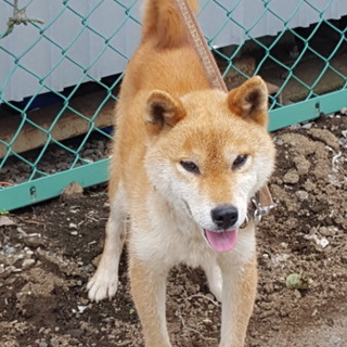 ありがとうございました。