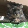 美輪たま子