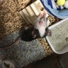 ゆか1218