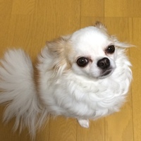 メイ