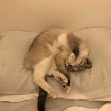 無防備で寝ます