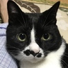 ナッチクー