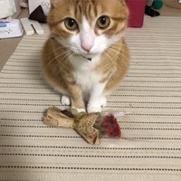ふく