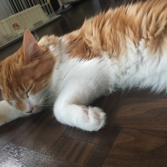 まりや8のカバー写真