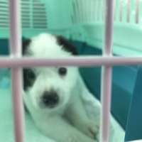 ティム