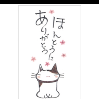 子猫ちゃん保護しました。