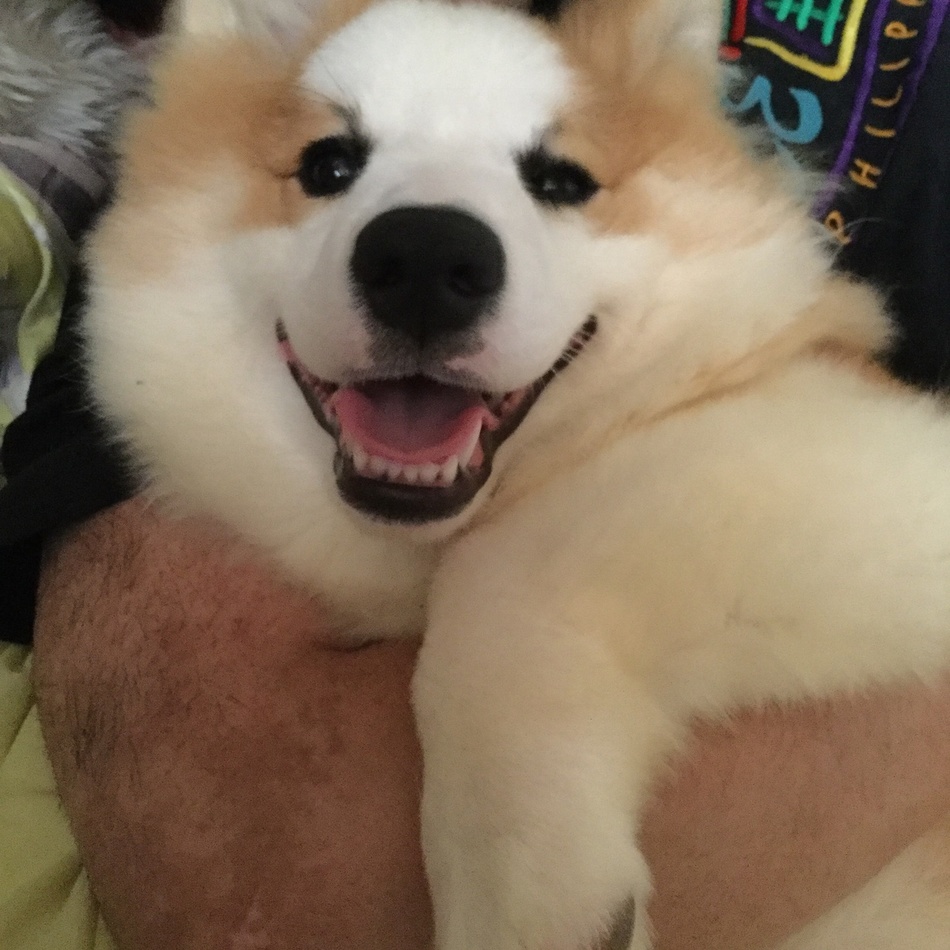 はるのカバー写真