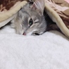  さん