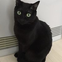 ルナ