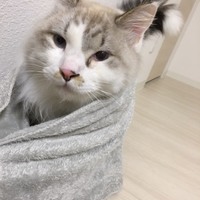 サボ